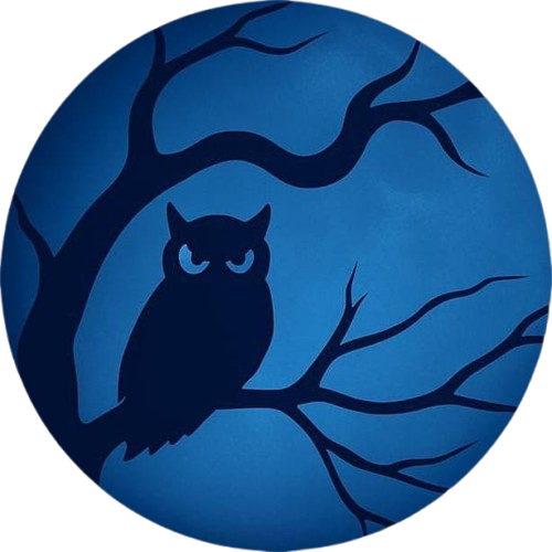 Nyx Logo